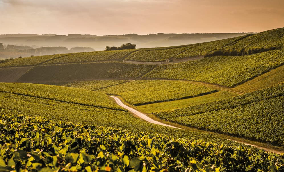 Chablis